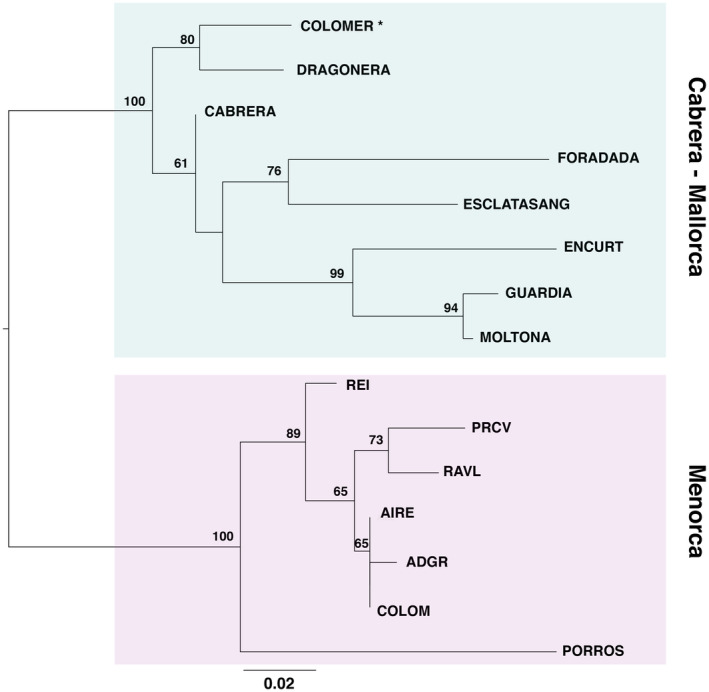 FIGURE 6