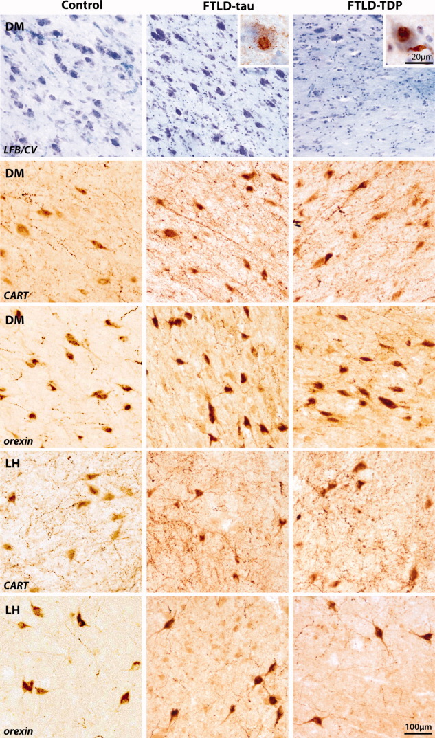 FIGURE 3