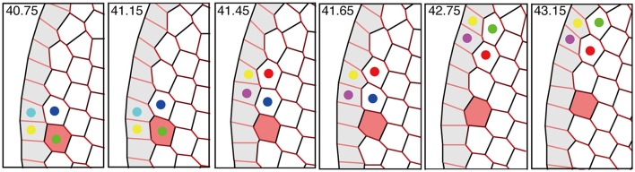 Figure 11