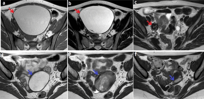 Fig. 3