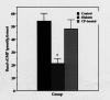 Figure 3)
