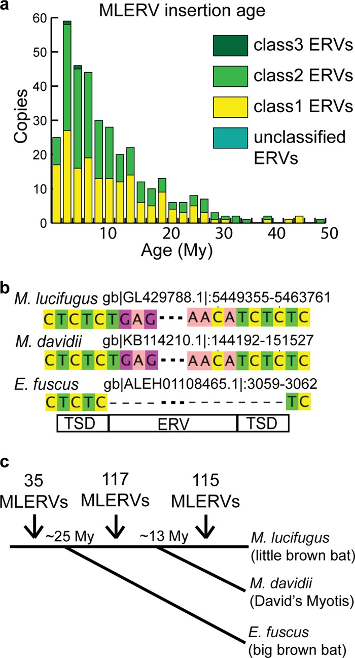 Fig 4