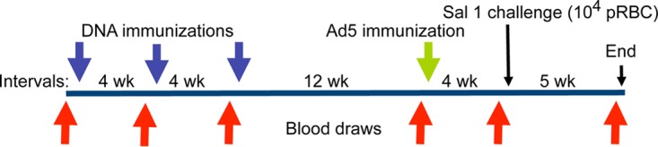 FIG 5