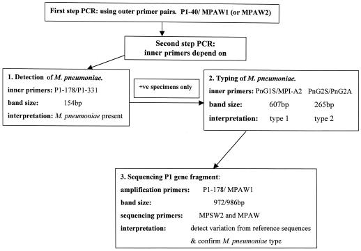 FIG. 1