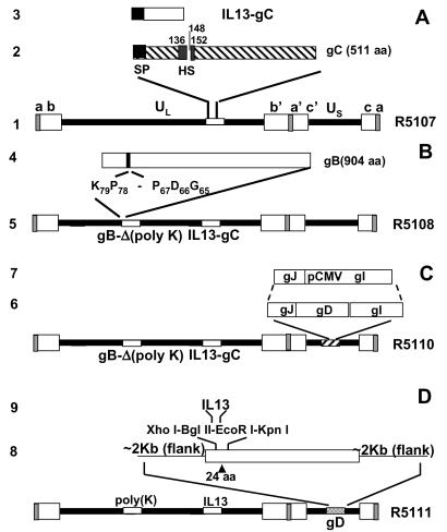 Fig 1.