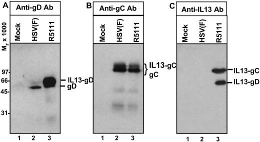 Fig 4.