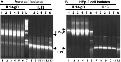 Fig 3.