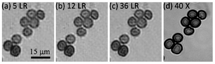 Fig. 6