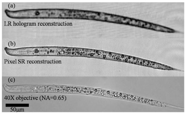 Fig. 7