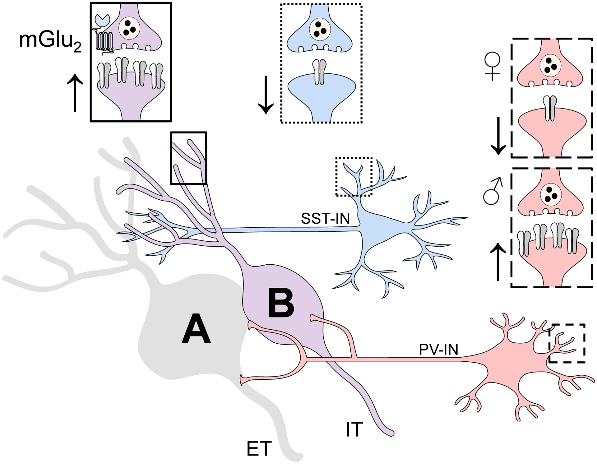 Figure 7.