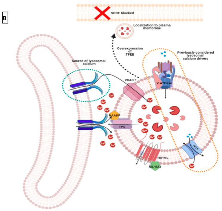 Figure 9