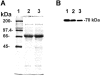 Fig 1.