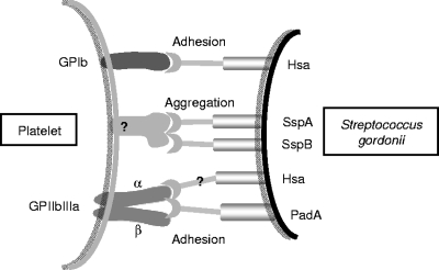 FIG. 9.