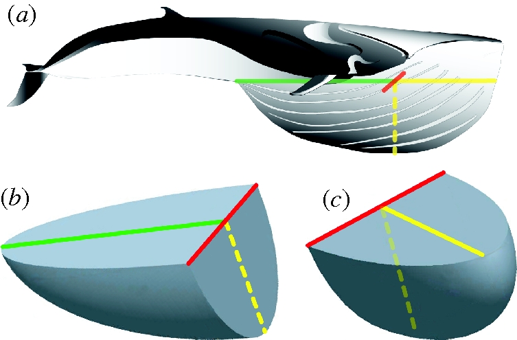 Figure 2.