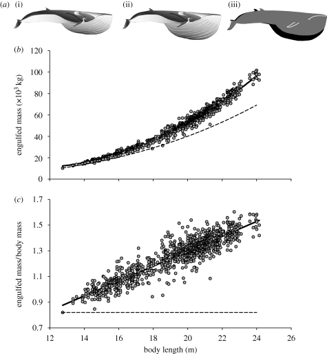 Figure 3.