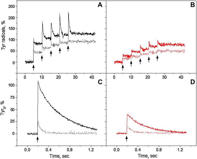 Fig. 7