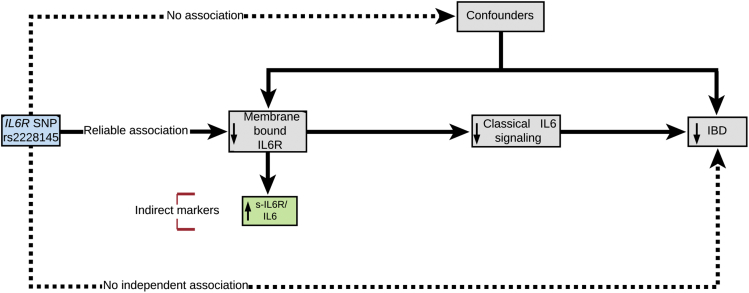 Figure 1