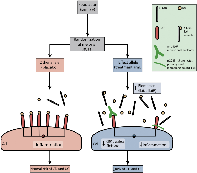 Figure 2