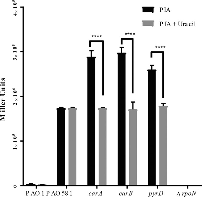 FIG 5