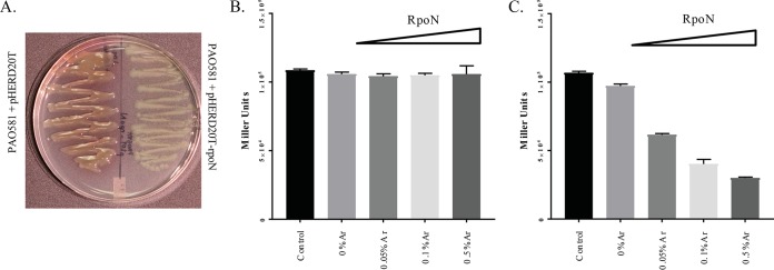 FIG 6