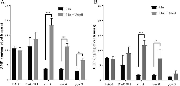 FIG 2