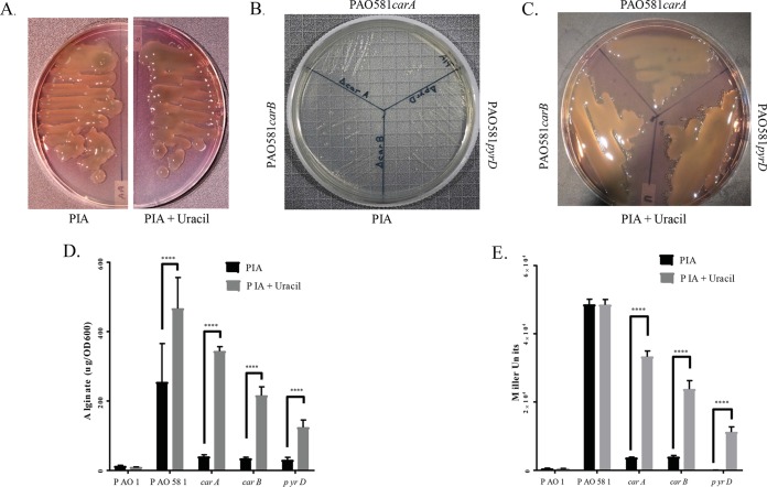 FIG 1