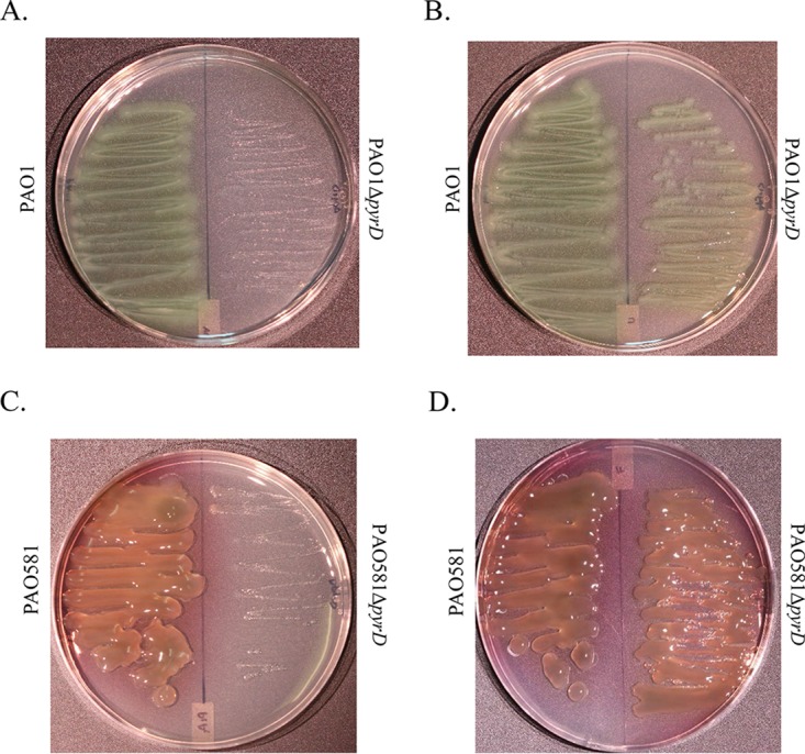 FIG 8