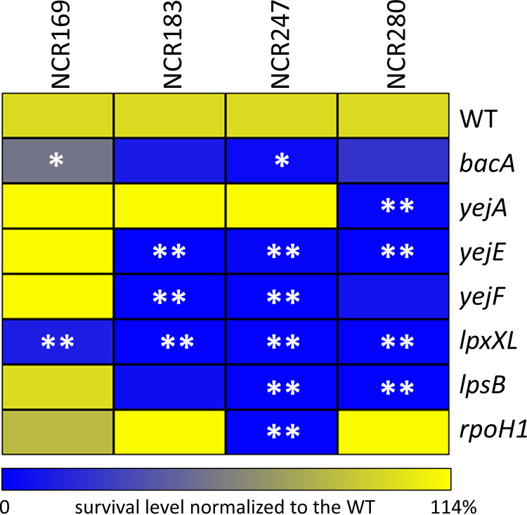 FIG 1