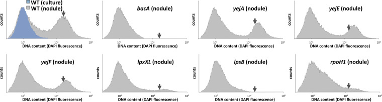 FIG 3