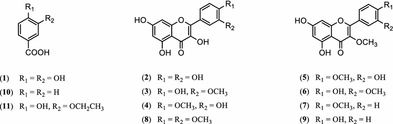 Fig. 1