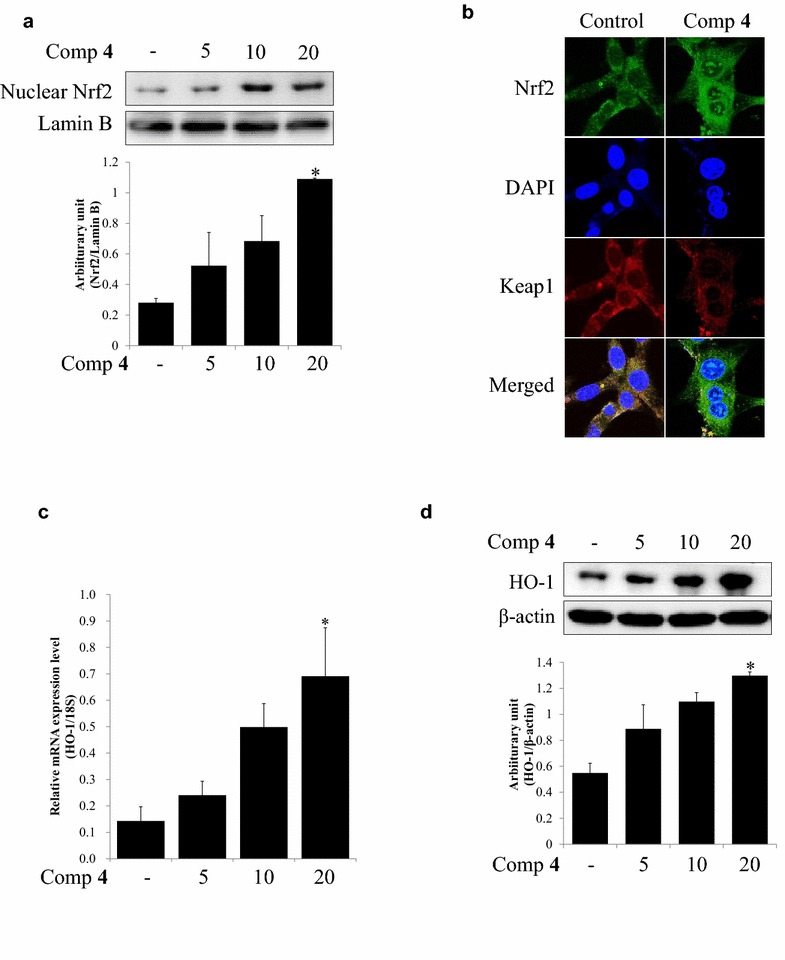 Fig. 4