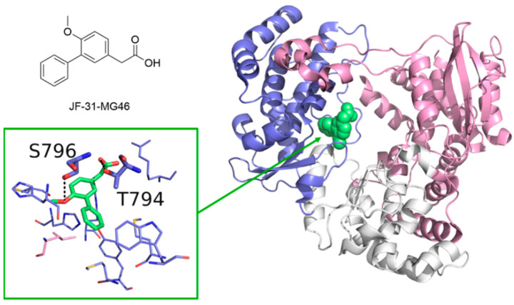 Figure 12