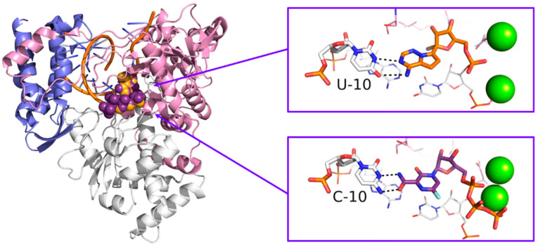 Figure 11