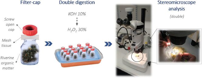 Image, graphical abstract