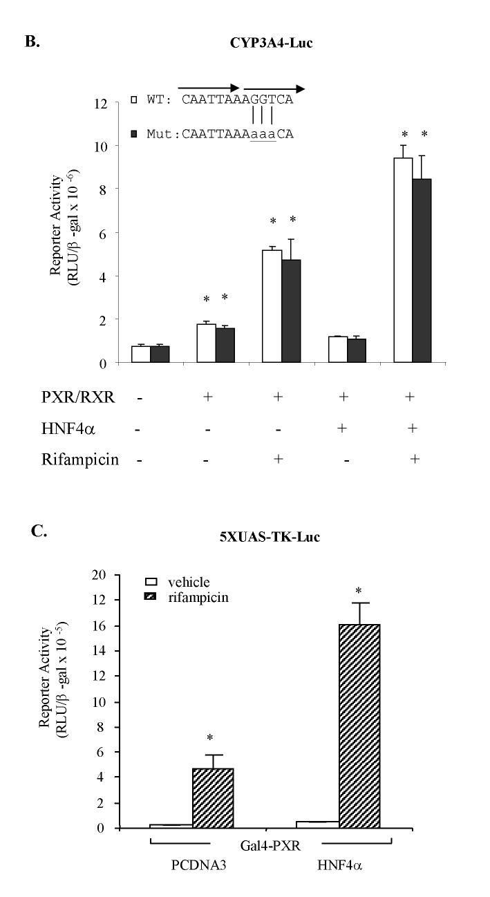 graphic file with name nihms-10847-0004.jpg