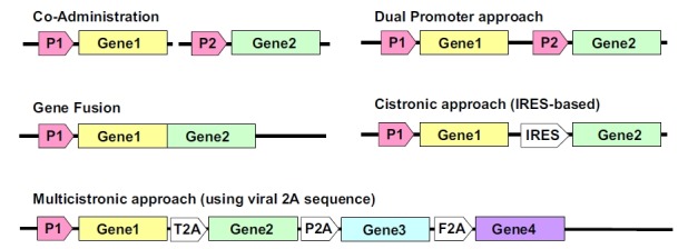 Figure 6.