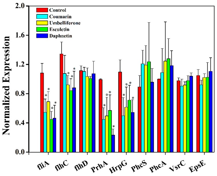 Figure 5