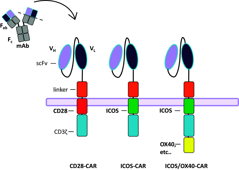 Fig. 3