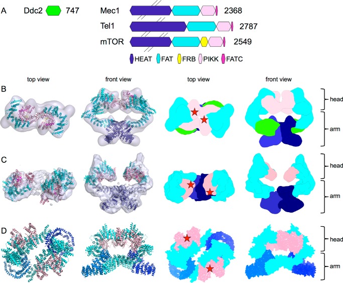 FIGURE 6.