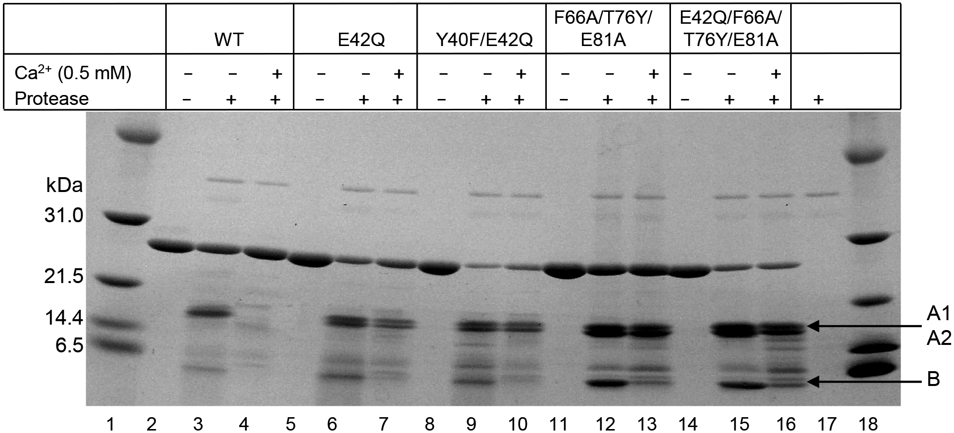 FIGURE 9.