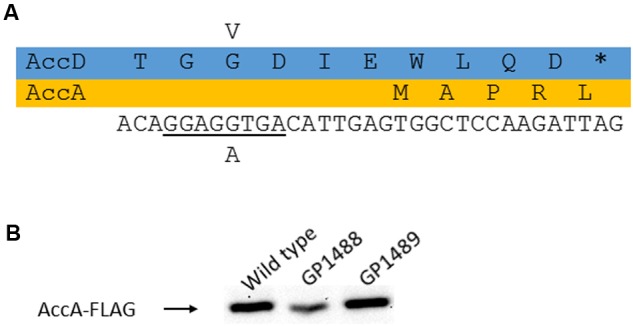 FIGURE 3