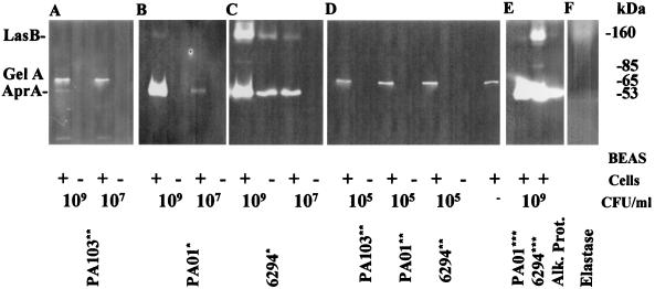 FIG. 7