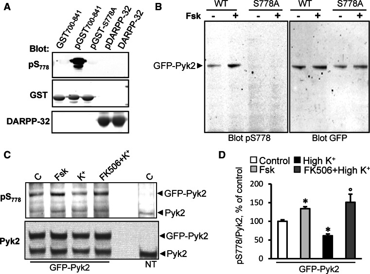 Fig. 6