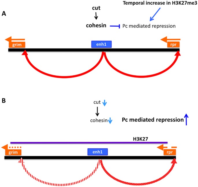 Fig. 7.