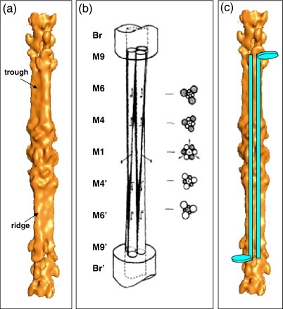 Fig. 8