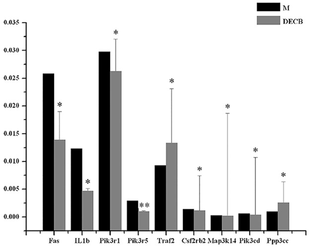 Fig 5