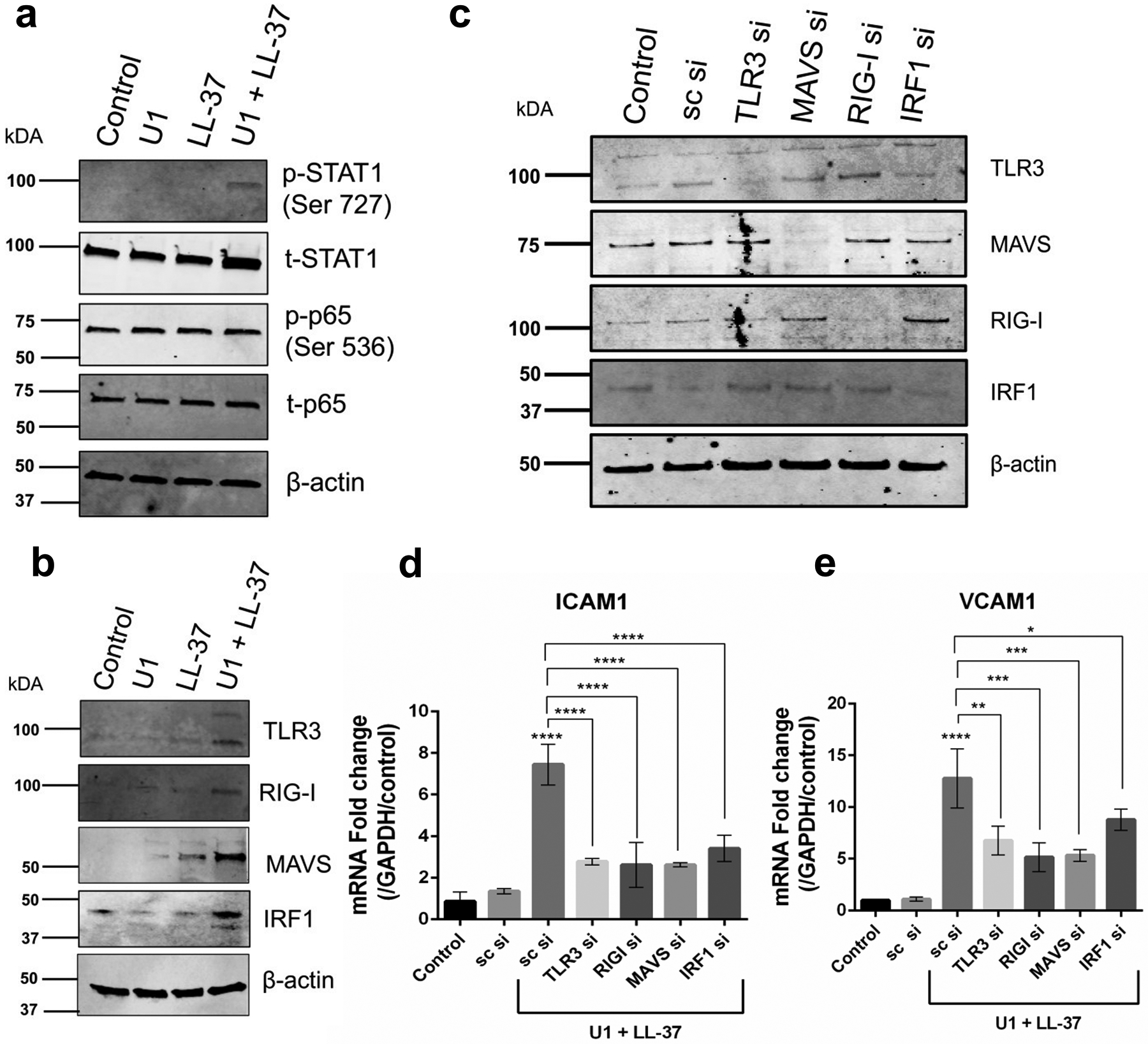 Figure 3: