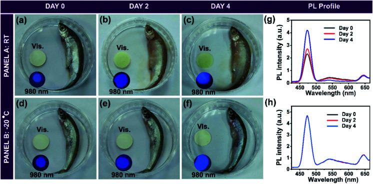 Fig. 7