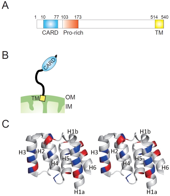 Figure 2.