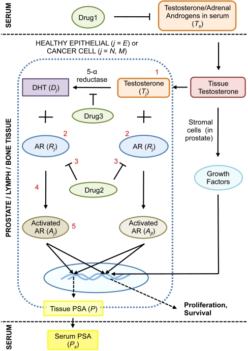 Fig. 1.